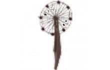 Ferris Wheel Propeller [Adopt Me - Toys]