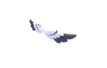 Gull Wings [Adopt Me - Pet Wear]