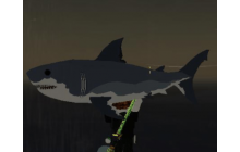 Ginsu Shark [Fisch]