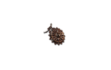 Damnation Clasp Solar Amulet [PoE2 Mirrored Item]