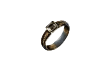 Spirit Whorl Penumbra Ring [PoE2 Mirrored Item]
