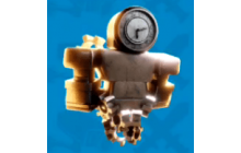 Timeworn Clock Watcher [Toilet Tower Defense Item]