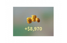 +$8970 [Combat Warriors]