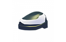Fancy Footwear [Adopt Me - Pet Wear]