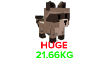 Raccoon (HUGE) (21.66KG Age 25) [Grow A Garden]