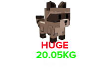 Raccoon (HUGE) (20.05KG Age 30) [Grow A Garden]