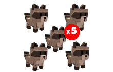 x5 Raccoon [Grow A Garden]