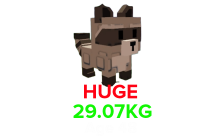 Raccoon(HUGE) (29.07KG Age 48) [Grow A Garden]