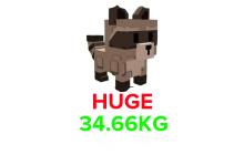 Raccoon(HUGE) (34.66KG Age 46) [Grow A Garden]