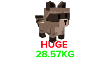 Raccoon(HUGE) (28.57KG Age 47) [Grow A Garden]