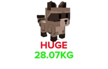 Raccoon (HUGE) (28.07KG Age 46) [Grow A Garden]