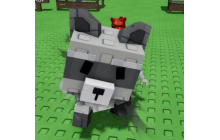 Windy Raccoon [Grow A Garden]