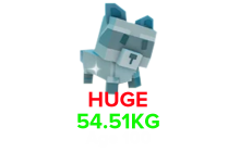 Mage Raccoon (HUGE) (54.51KG Age 100) [Grow A Garden]