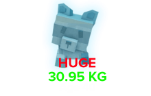 Shiny Raccoon (HUGE) (30.95 KG Age 40) [Grow A Garden]