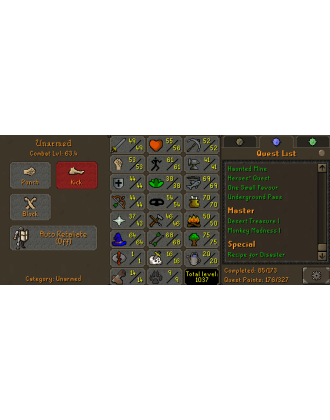 Berserker | Ironman - HCIM | TTL: 1037 | CL: 63 | QP: 176 [B Gloves, Ava's, MM1, Mithril Gloves, DT1 + MORE!]