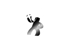 Barrier Fruit [Blox Fruits]