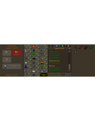 Pure - 1 DEF | TTL: 890 | CL: 69 | QP: 46 [Infernal, Dizana's Quiver, Ava's, Mithril Gloves, MA1 & MA2, DT1 + MORE!]