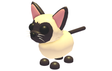 Siamese Cat [Adopt Me - Pets]