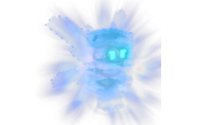 Luminous Sprite [Grow A Garden]