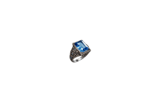 Rare Ring [100+ to maximum Life