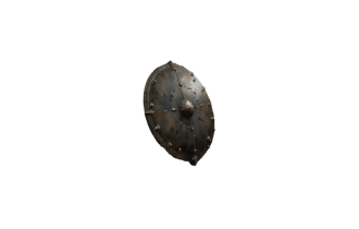 Rare Shield [150+ Life