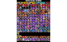 UNIQUE - Chun Li, OG STW [157 Skins, 50 Vbucks, 124 Axes, 107 Emotes, 102 Gliders and MORE!]