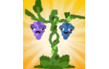 Grape Seed [Plants vs Brainrots]