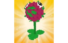 Dragon Fruit Seed [Plants vs Brainrots]