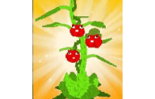 Tomatrio Seed [Plants vs Brainrots]