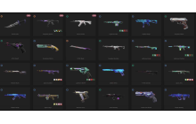 UNIQUE - Unranked - 2x Knife Skins [12 Agents, Reaver Knife and MORE!]