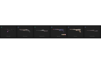 UNIQUE - Unranked - 2x Knife Skins [12 Agents, Reaver Knife and MORE!]