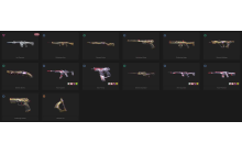 UNIQUE - Unranked - 1x Knife Skin [7 Agents, 34 LVL, Ion Phantom and MORE!]