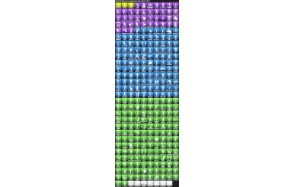 UNIQUE -  IKONIK, MINTY AXE  [458 Skins, 259 Axes, 282 Emotes, 382 Gliders and MORE!]