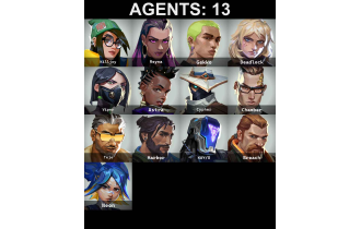 UNIQUE - Bronze 2 - 1x Knife Skin [13 Agents, 45 LVL, Magepunk Spectre and MORE!]