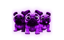 Galaxy Los Puggies [Steal A Brainrot]