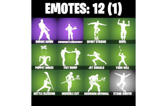 UNIQUE - Santa Dogg, Hero Baymax [12 Skins, 16 Axes, 12 Emotes,14 Gliders and MORE!]