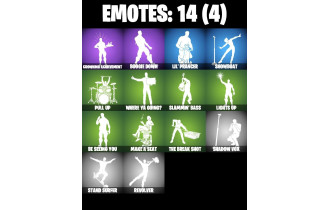 UNIQUE -  Slayer Juice Wrld, Arctic Adeline [10 Skins, 23 Axes, 14 Emotes, 22 Gliders and MORE!]