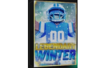 Winter Pack [NFL Universe Football]