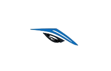 Glider [Adopt Me - Toys]