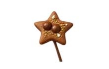 Gingerbread Star Propeller [Adopt Me - Toys]