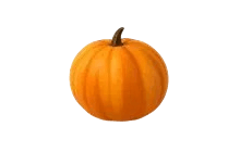 Throwing Pumpkin [Adopt Me - Toys]