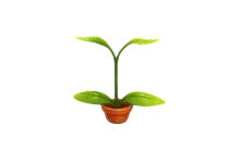Sprout Pogo Stick [Adopt Me - Toys]