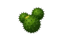 Cactus Balloon [Adopt Me - Toys]