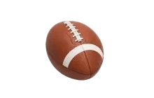 Football Throw Toy [Adopt Me - Toys]