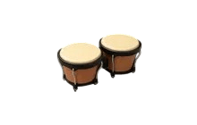 Campers Bongos [Adopt Me - Toys]