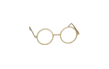 Gold Circle Glasses [Adopt Me - Pet Wear]