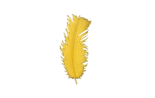 Feather [Adopt Me - Pet Wear]