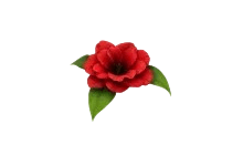 Forgotten Flower [Adopt Me - Pet Wear]