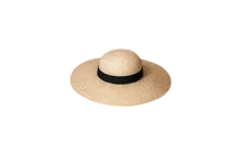 Summer Walrus Sunhat [Adopt Me - Pet Wear]