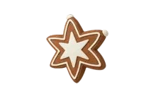 Gingerbread Star Eye Patch [Adopt Me - Pet Wear]